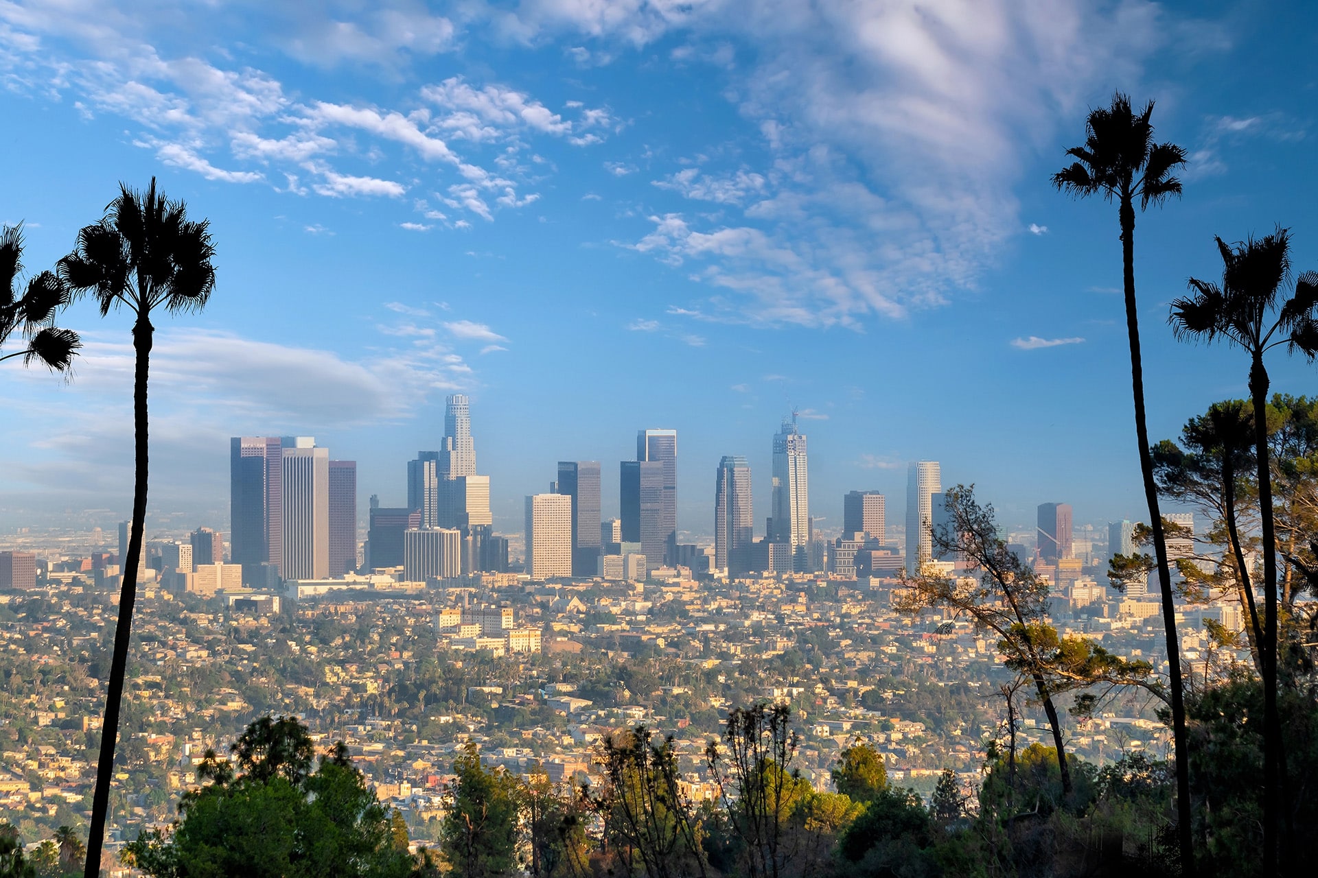 los angeles proctologist david rosenfeld md